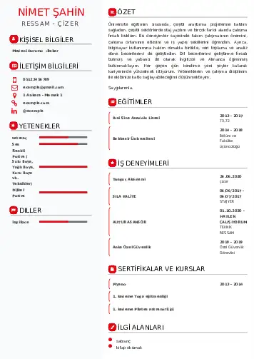 Ressam Cv Örnekleri cv indir